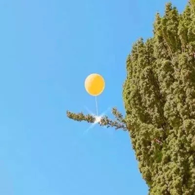 365平台下载下载手机版截图