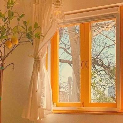 乐宝体育官网登录入口