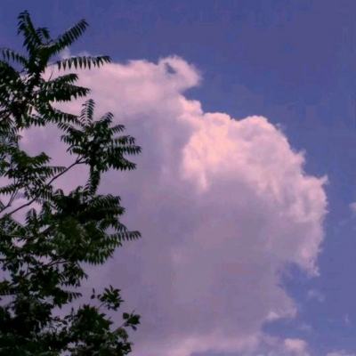 PG电子游戏官网入口