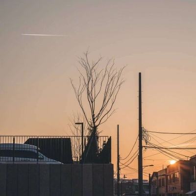 365平台下载下载手机版截图