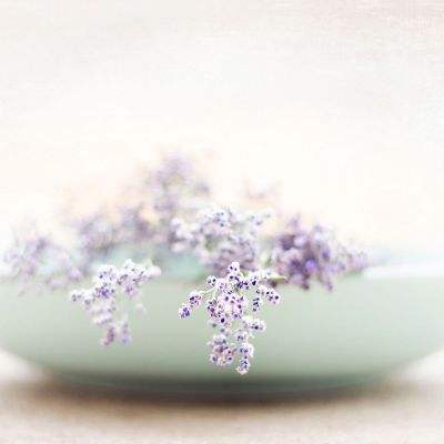 金年会·体育APP