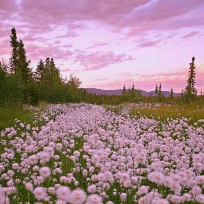 ROR体育官网登录入口手机app下载