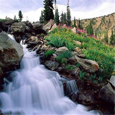 买球的app排行榜前十名推荐下载手机版