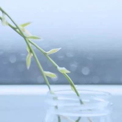 NG体育·(南宫)下载手机版